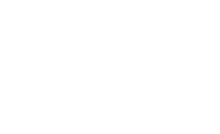 공식 게임 로고